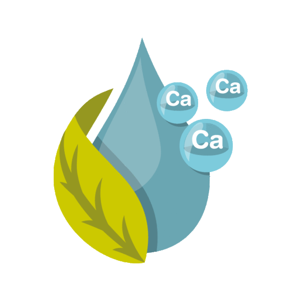 Organic Liquid Calcium 10 liters