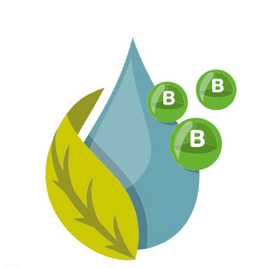 Symbolgrafik: Bor-Ionen lösen sich von einem Blatt im Regen