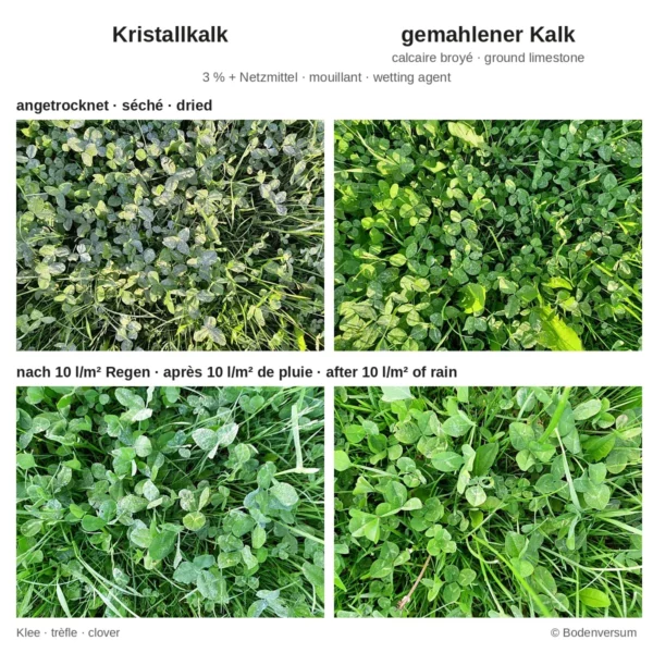 Vergleich Kristallkalk und gemahlener Kalk auf Kleeblättern, angetrocknet und nach 10 l/m² Regen (Bodenversum)