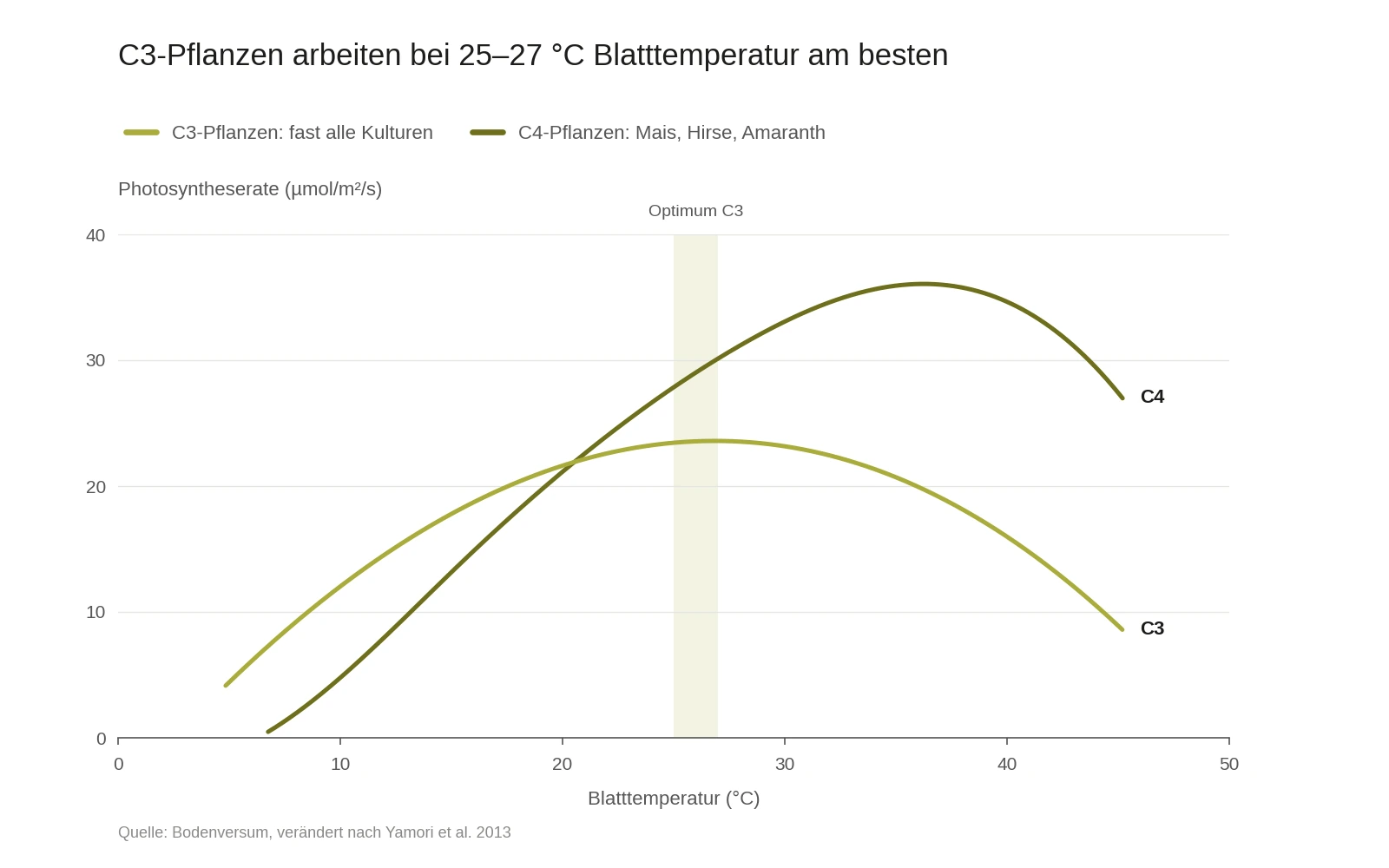 Diagramm: Photosyntheserate von C3- und C4-Pflanzen nach Blatttemperatur, C3-Optimum bei 25⁠–⁠27 °C