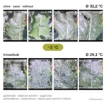 Wärmebilder Zuckerrübe: ohne Kristallkalk im Mittel 32,2 °C, mit Kristallkalk 29,1 °C (Bodenversum)