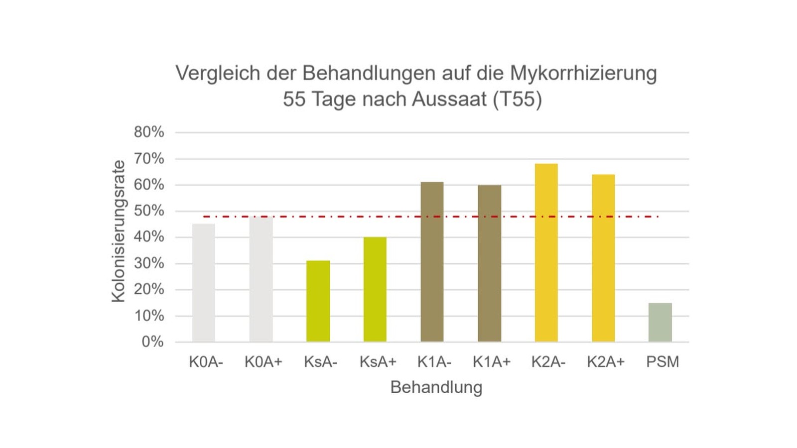 Balkengrafik: Mykorrhizierung von Rasenwurzeln 55 Tage nach Aussaat in neun Varianten, höchste Werte bei den Komposttee-Varianten, tiefster Wert beim Fungizid