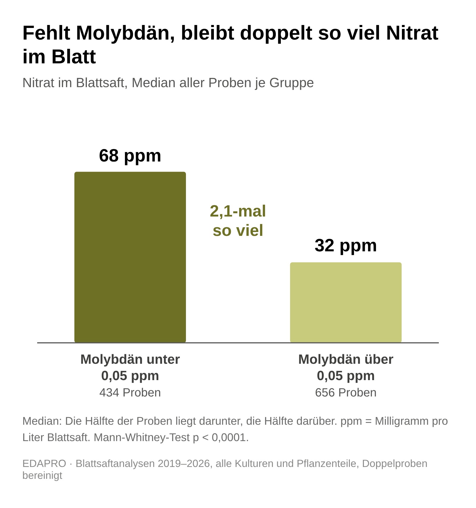 Balkengrafik aus 1090 EDAPRO-Blattsaftanalysen: bei Molybdän unter 0,05 ppm liegt Nitrat im Median bei 68 ppm, bei Molybdän über 0,05 ppm bei 32 ppm